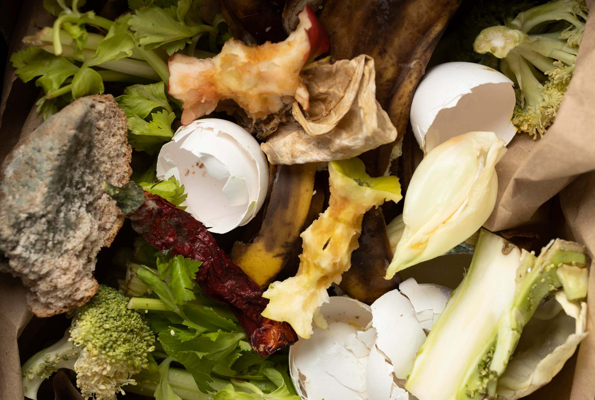 composting image biowise